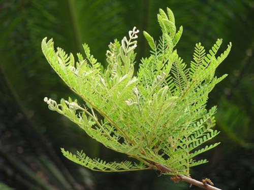 headlines�`�V�����